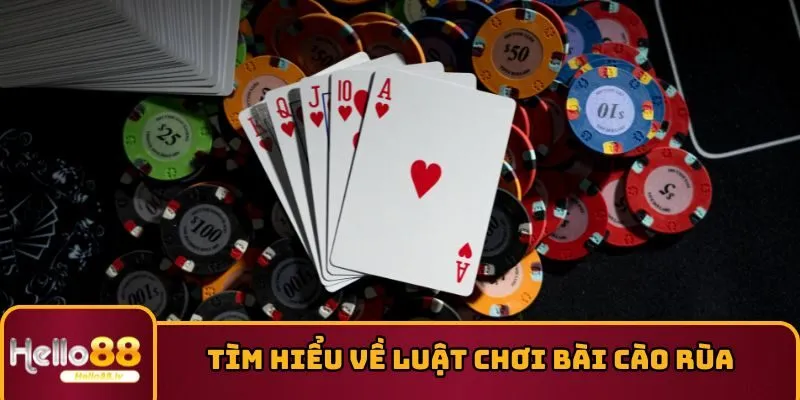 Tìm hiểu về luật chơi bài cào rùa dành cho tân thủ 