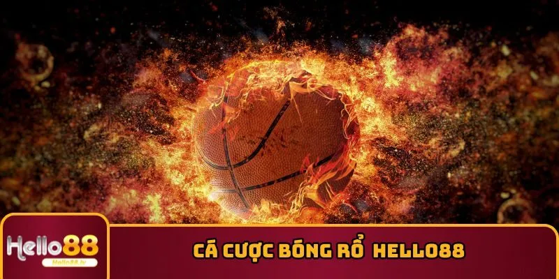 Cá Cược Bóng Rổ - HELLO88 Cập Nhật Kèo Qua Giải Đấu NBA