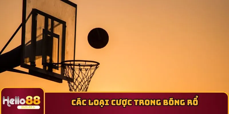 Các loại cược trong bóng rổ