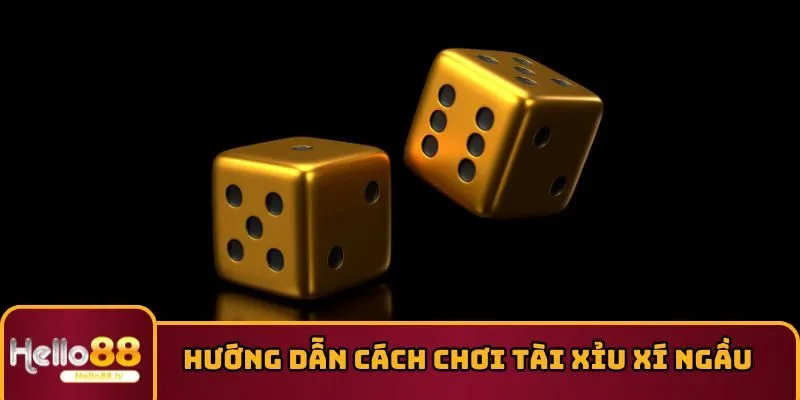Hướng dẫn cách chơi Tài Xỉu Xí Ngầu