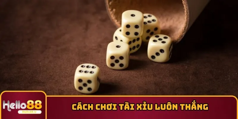 Cách chơi Tài Xỉu luôn thắng qua việc tính xác suất