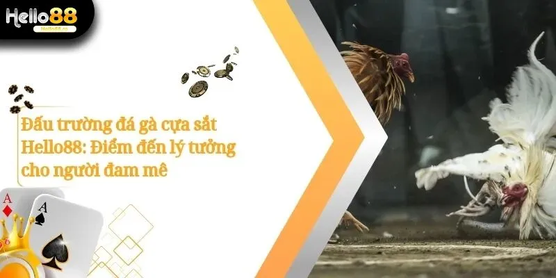 Trải Nghiệm Đấu Trường Đá Gà Cựa Sắt Đỉnh Cao Tại Hello88 2 Đá gà cựa sắt