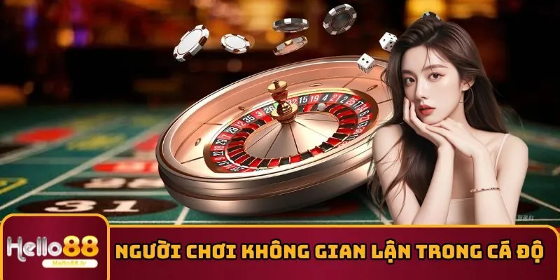 Người chơi không có hành vi gian lận trong cá độ