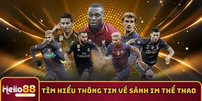 Tìm hiểu thông tin về sảnh IM thể thao 
