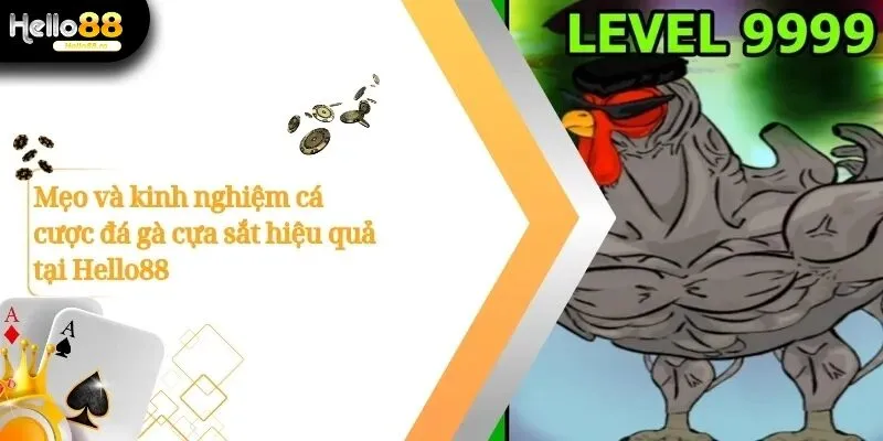 Trải Nghiệm Đấu Trường Đá Gà Cựa Sắt Đỉnh Cao Tại Hello88 4 Đá gà cựa sắt