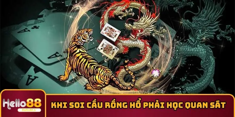 Khi soi cầu Rồng Hổ phải học quan sát
